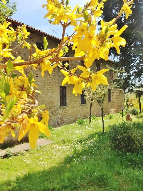 Agriturismo Torrevecchia Villa Pienza Italia