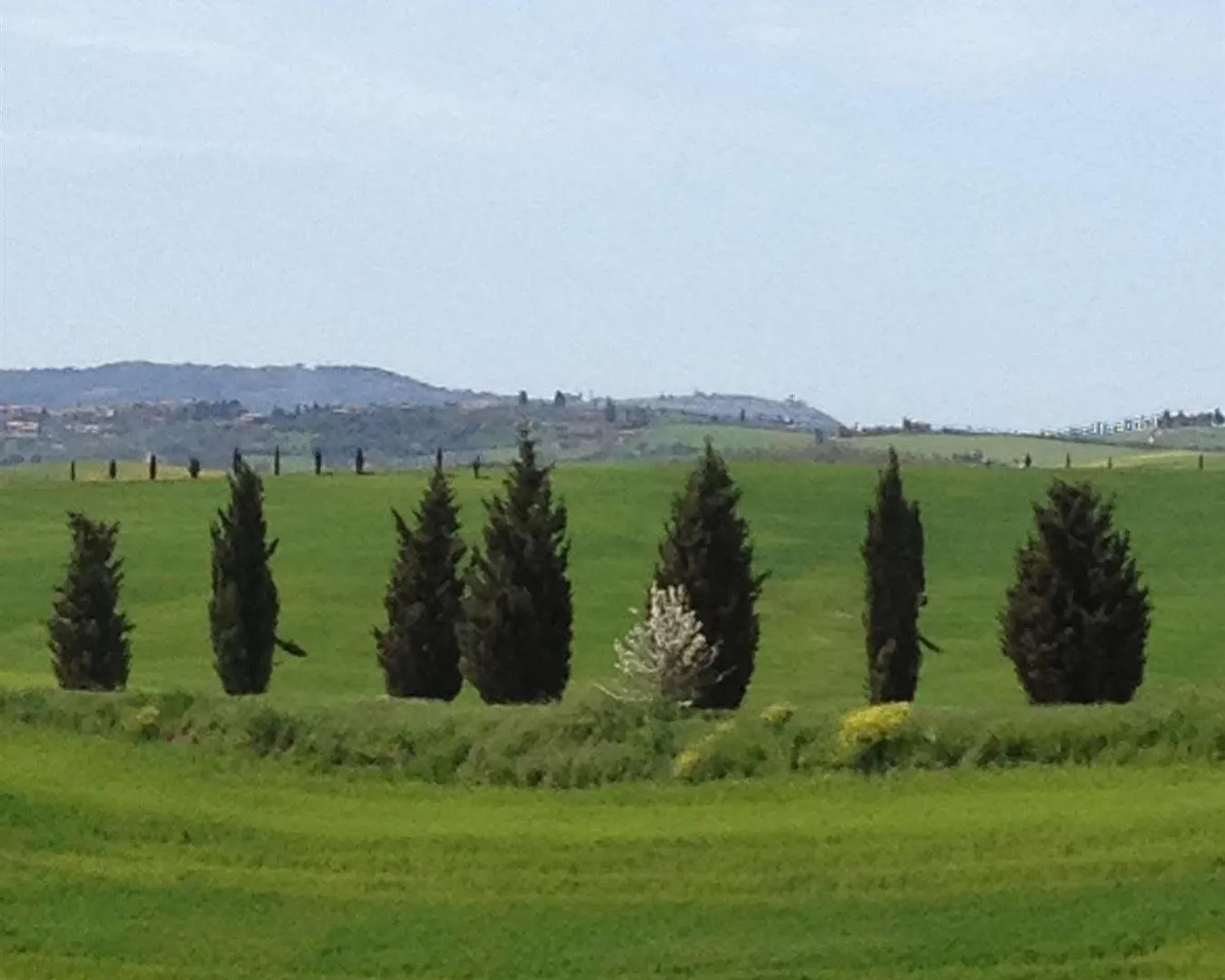 Agriturismo Torrevecchia Villa Pienza Alloggio per agriturismo